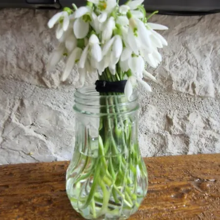 Daire Divcinovab2 Premium Divčibare