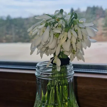 Divcinovab2 Premium 아파트