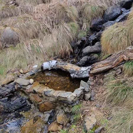 Divcinovab2 Premium Divčibare