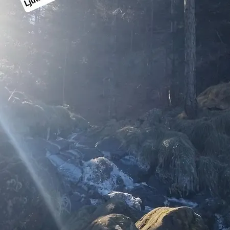 Divcinovab2 Premium Daire