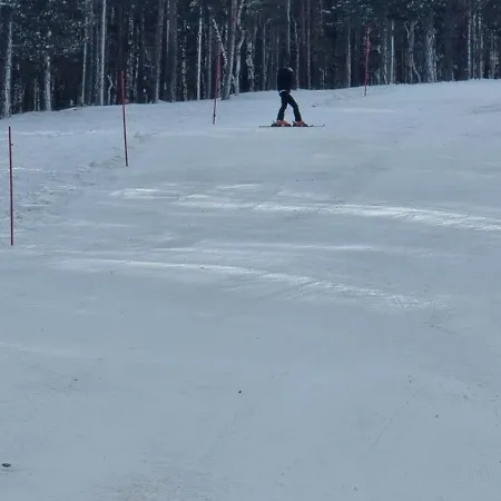 Divcinovab2 Premium *