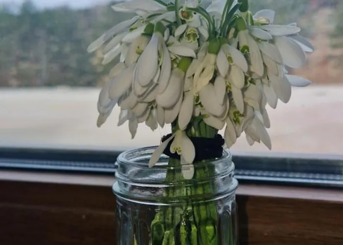 Divcinovab2 Premium شقة