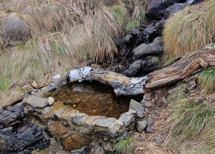 Divcinovab2 Premium Divčibare