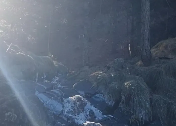 Divcinovab2 Premium شقة