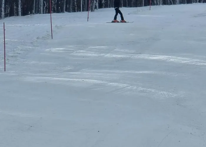 Divcinovab2 Premium *