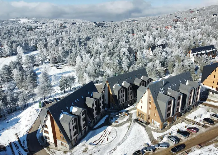 Divcinovab2 Premium *