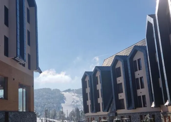 Divcinovab2 Premium *